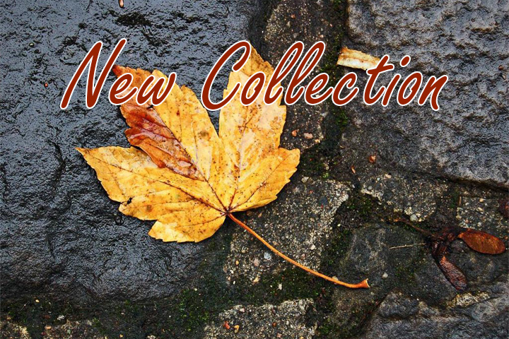 New Winter Collection